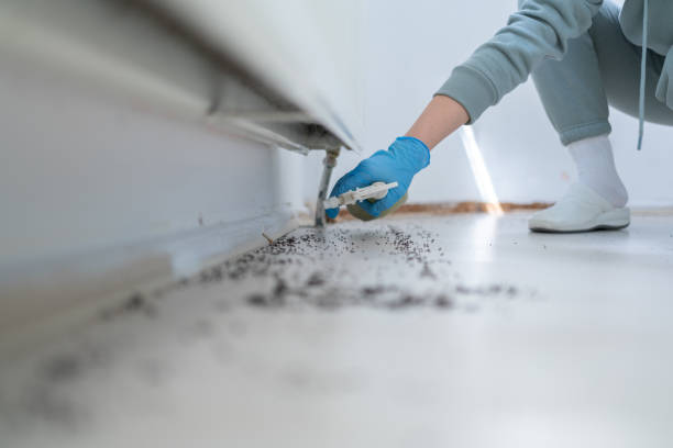 Wildlife Control Services in Hampstead, MD